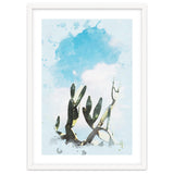 Cactus & Sky thumbnail