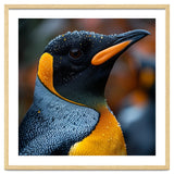 King Penguin With Water Droplets In Rain thumbnail