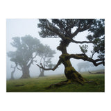 Forest queen (Print Only) thumbnail