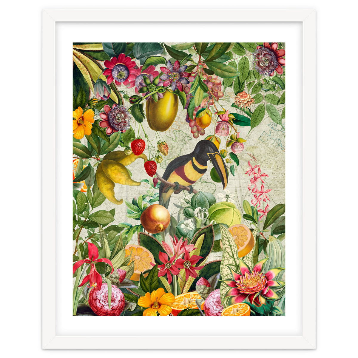 Toucan vintage jungle