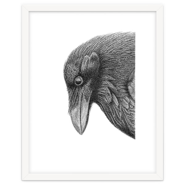 Huginn