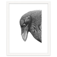 Huginn