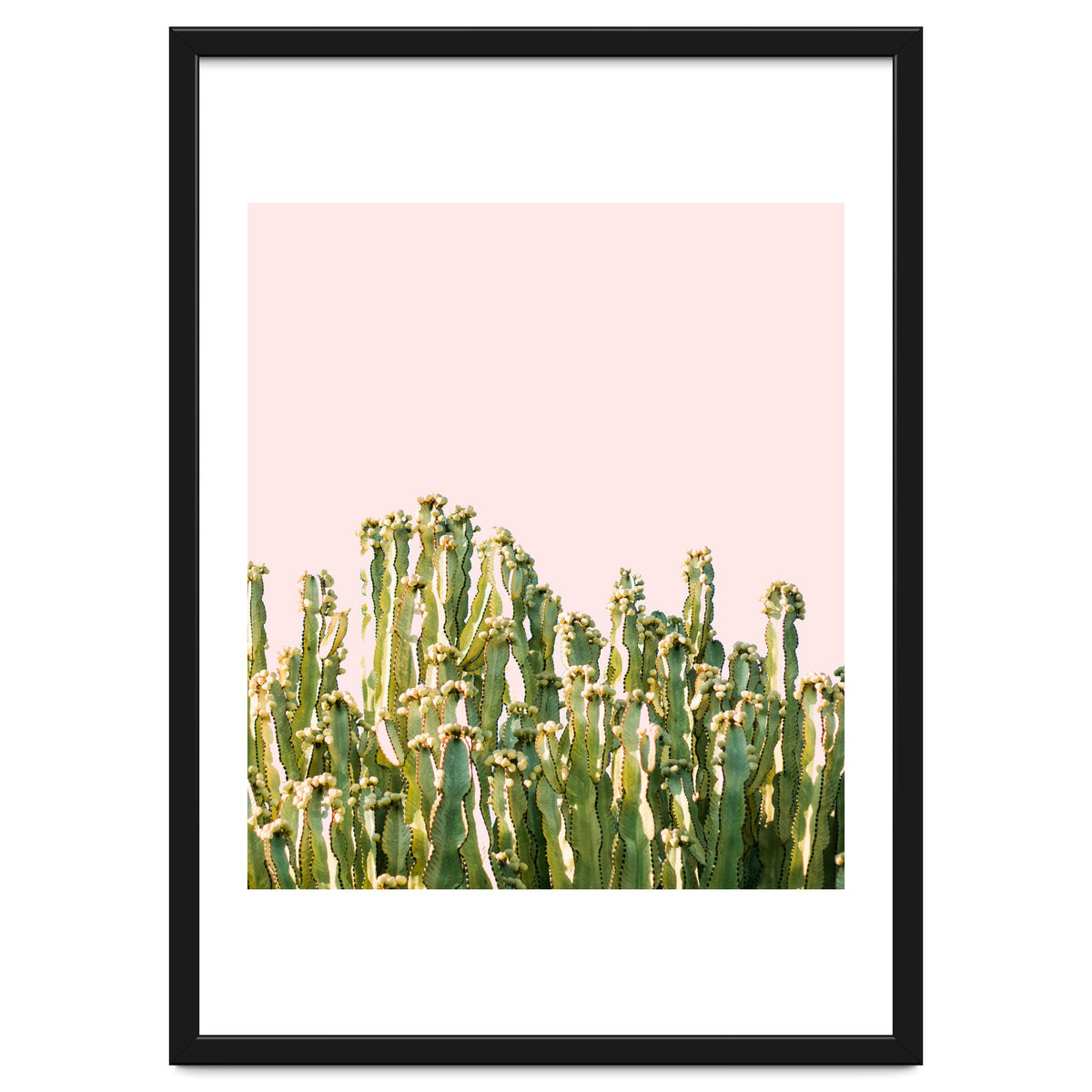 Cactus Blush #society6 #decor #buyart