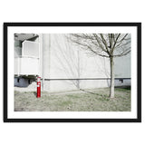 Red light pole and Tree shadow on the wall thumbnail