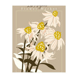 Flower Market Los Angeles Echinacea (Print Only) thumbnail