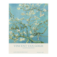Vincent Van Gogh - Almond Blossom (Print Only)