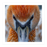 Close Up Of A Pelican's Beak With Water Droplets (Print Only) thumbnail