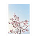 Sakura - cherry blossom (Print Only) thumbnail