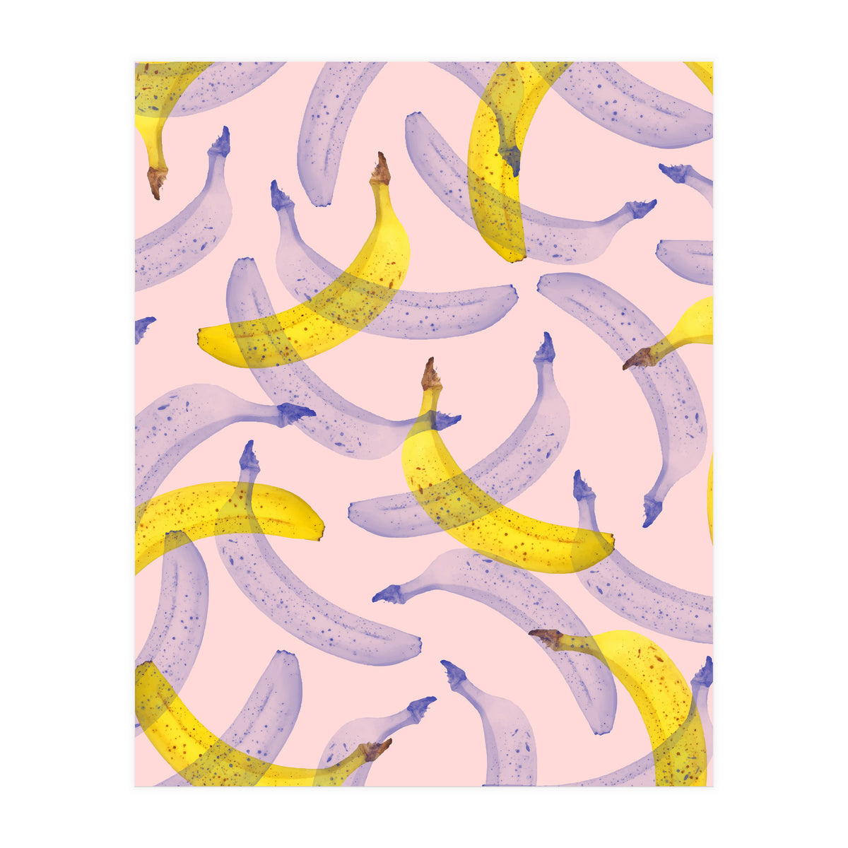 Banana Under Scrutiny (Print Only)