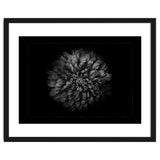 Backyard Flowers In Black And White No 68 with Border thumbnail