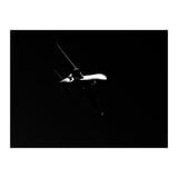 Dark Skies (Print Only) thumbnail
