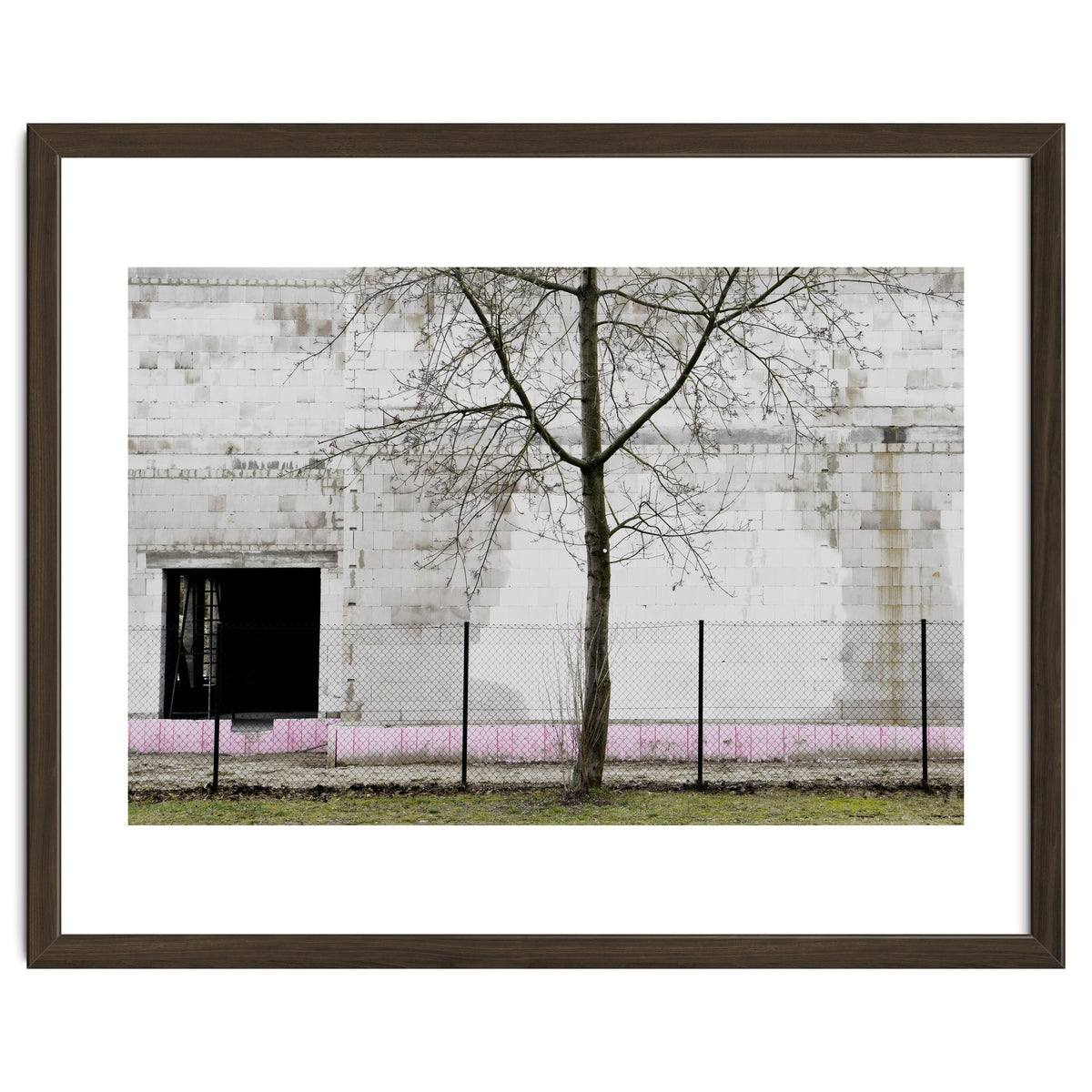 A tree in front of the wall