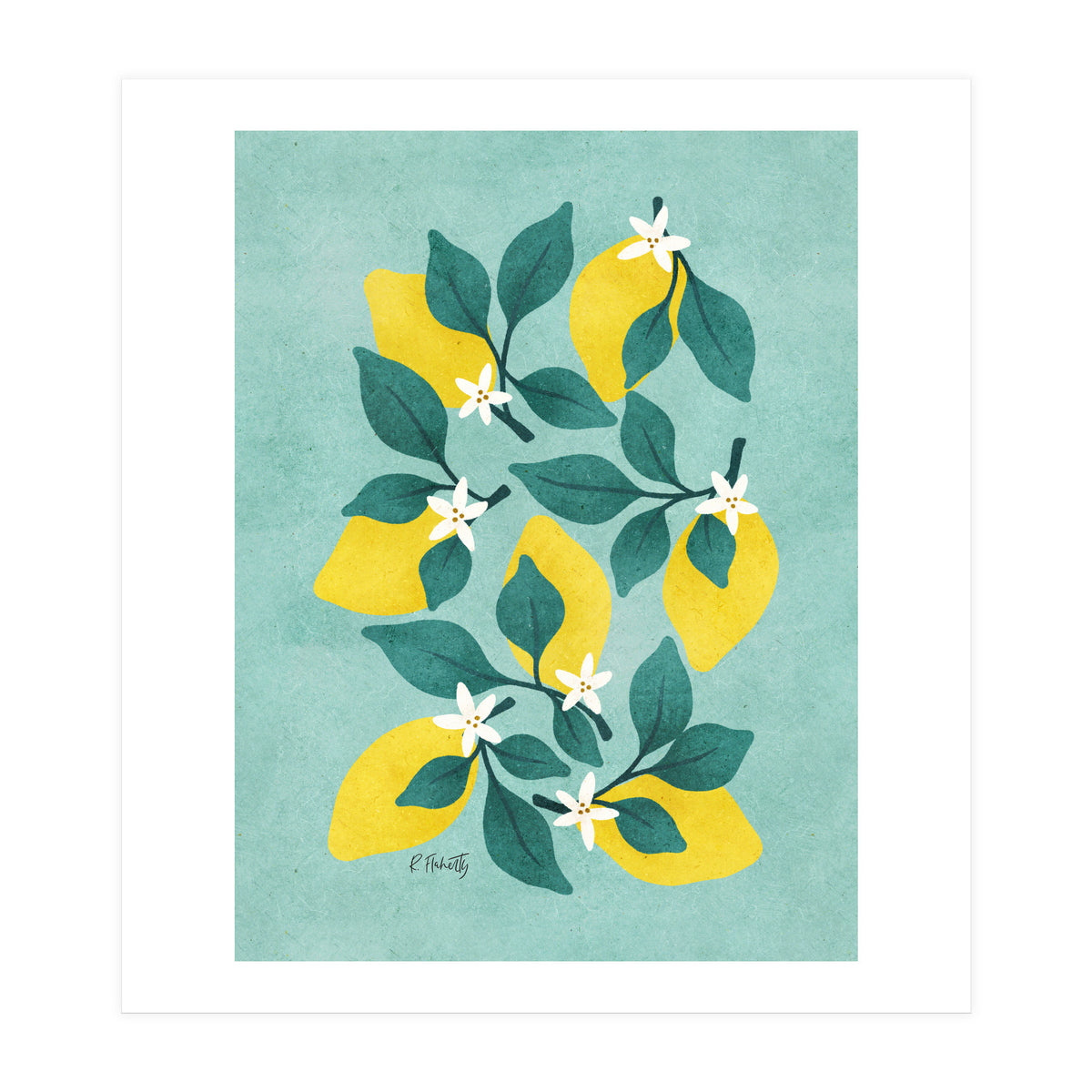 Lemon Blossom (Print Only)