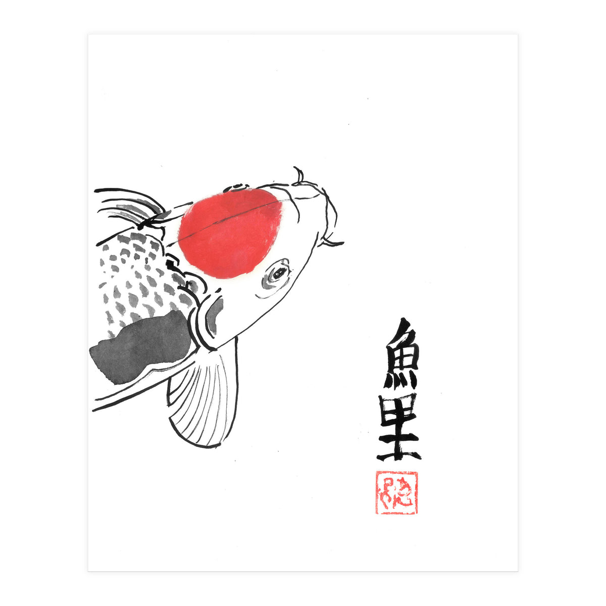 Karp Koi Close Up (Print Only)