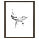 Whale thumbnail