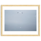 A flying seagull in the winter sky thumbnail
