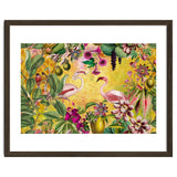 Flamingo Island thumbnail