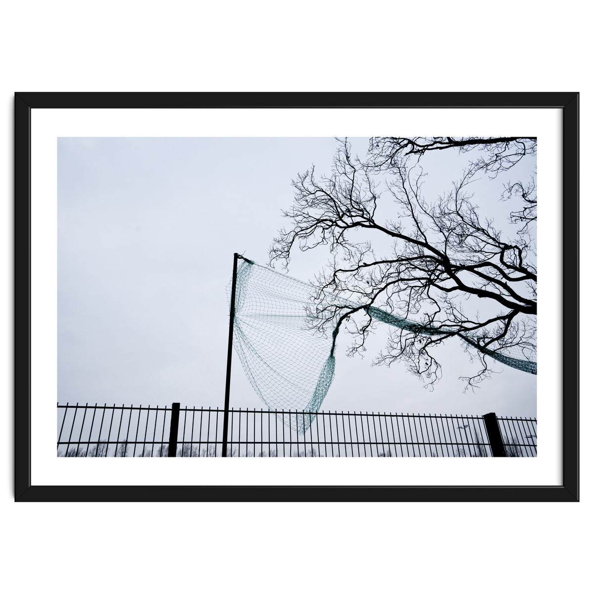 Net caught in a tree