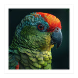 Close Up Colorful Parrot Bird Feather (Print Only) thumbnail