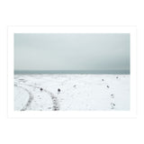 Seagulls in the winter snow beach (Print Only) thumbnail