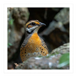 Colorful Bird Perched Among Rocks And Foliage (Print Only) thumbnail