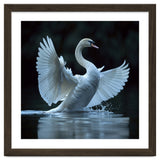 Majestic White Swan Spreading Wings On Water thumbnail