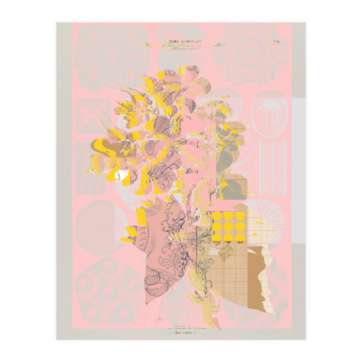 The First Plant · Tuesday Mix Mit Resten (Print Only)