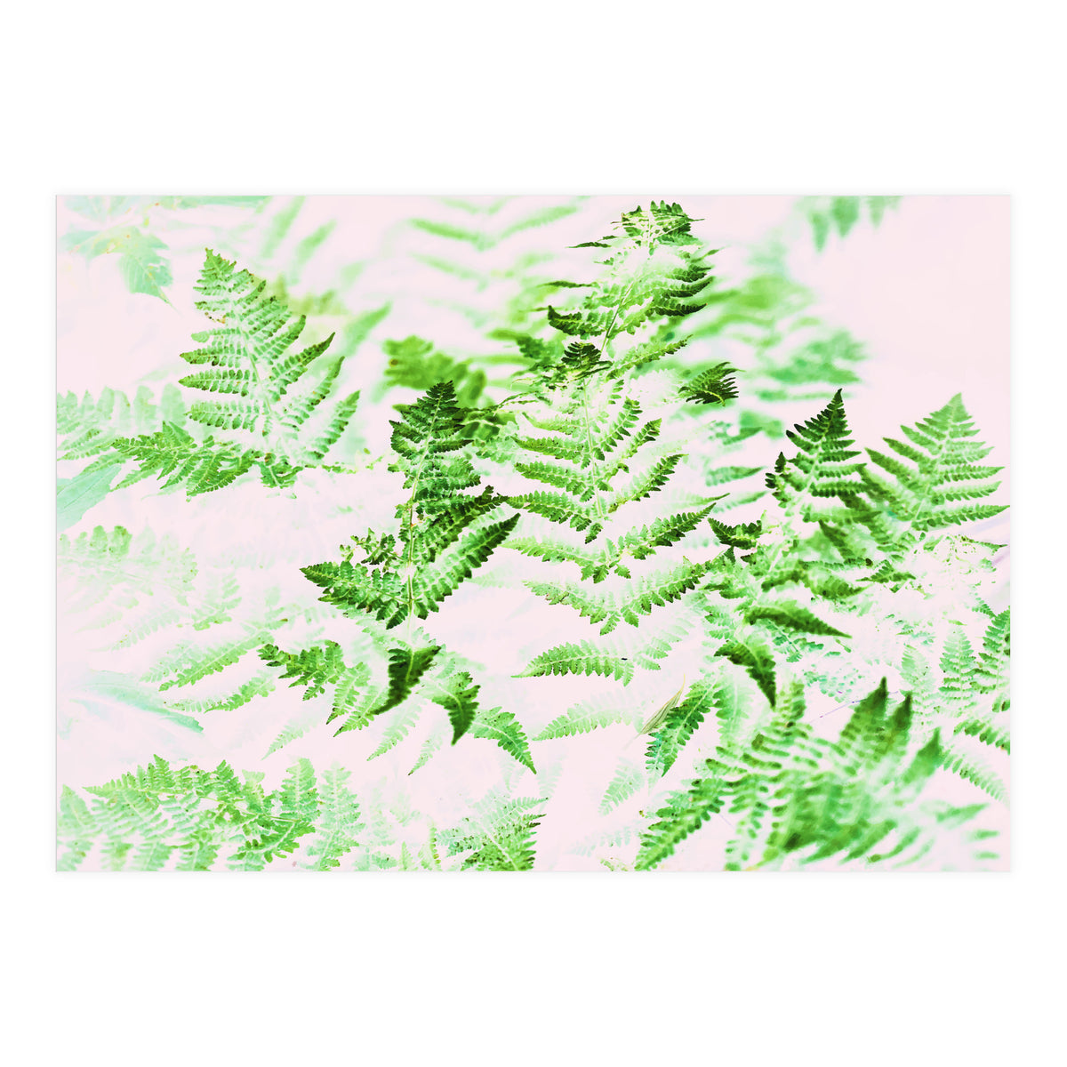 Fern Forest #society6 #decor #buyart (Print Only)