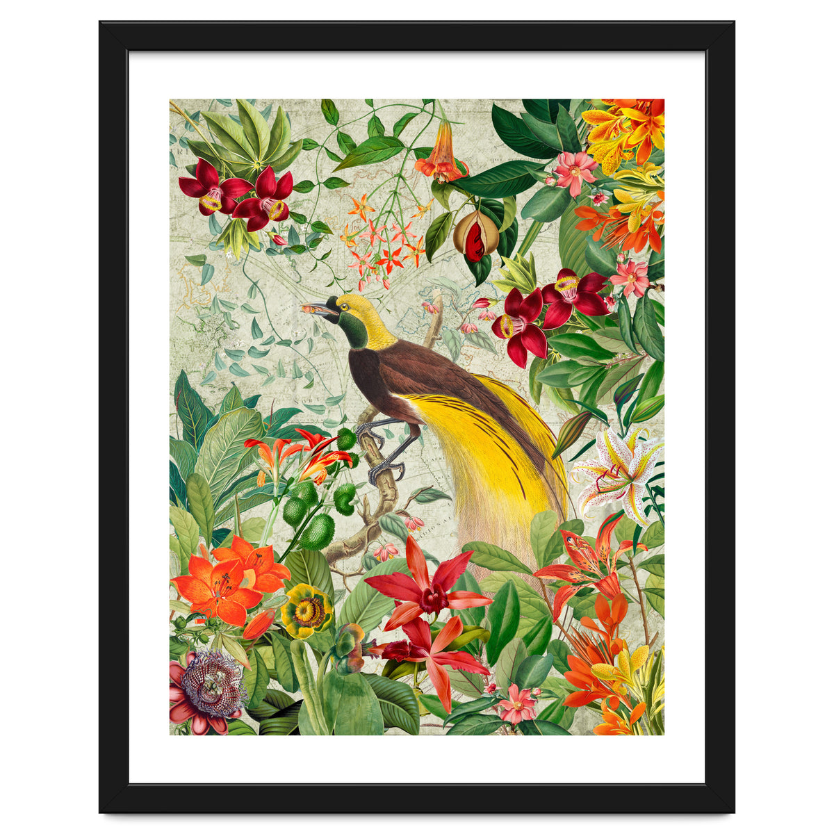 Bird of paradise vintage jungle