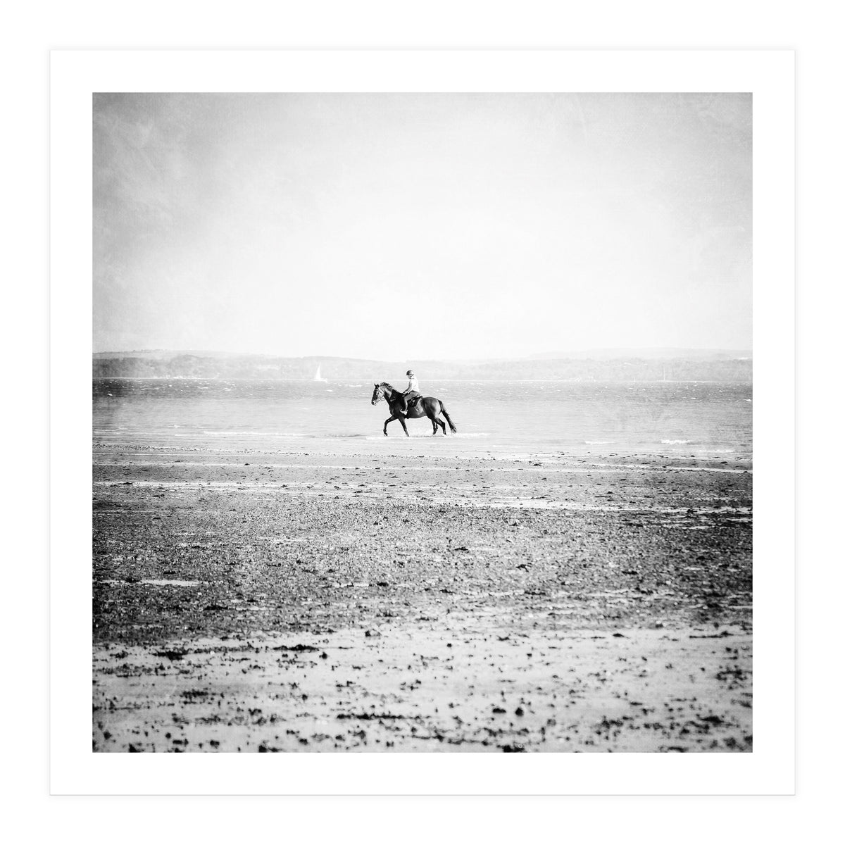 Sea Horse (Print Only)