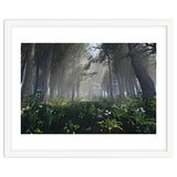 Art In The Forest thumbnail