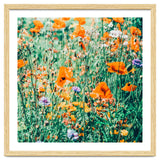 Eva | Nature Floral Meadow Garden | Photography Botanical Spring Bohemian Flowers thumbnail