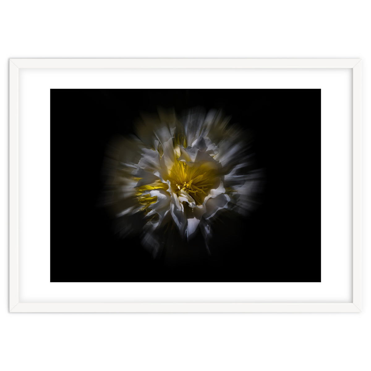 Backyard Flowers No 25 Color Flow Version