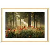 The poppy forest thumbnail