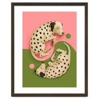 Yin And Yang Dalmatians