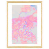 Chamomile thumbnail