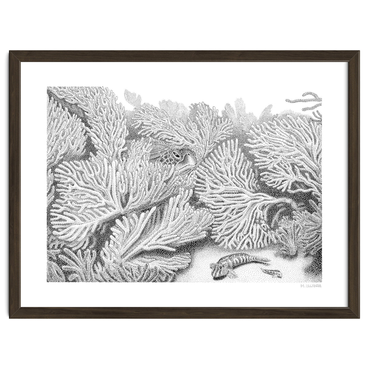 Hidden in plain sight