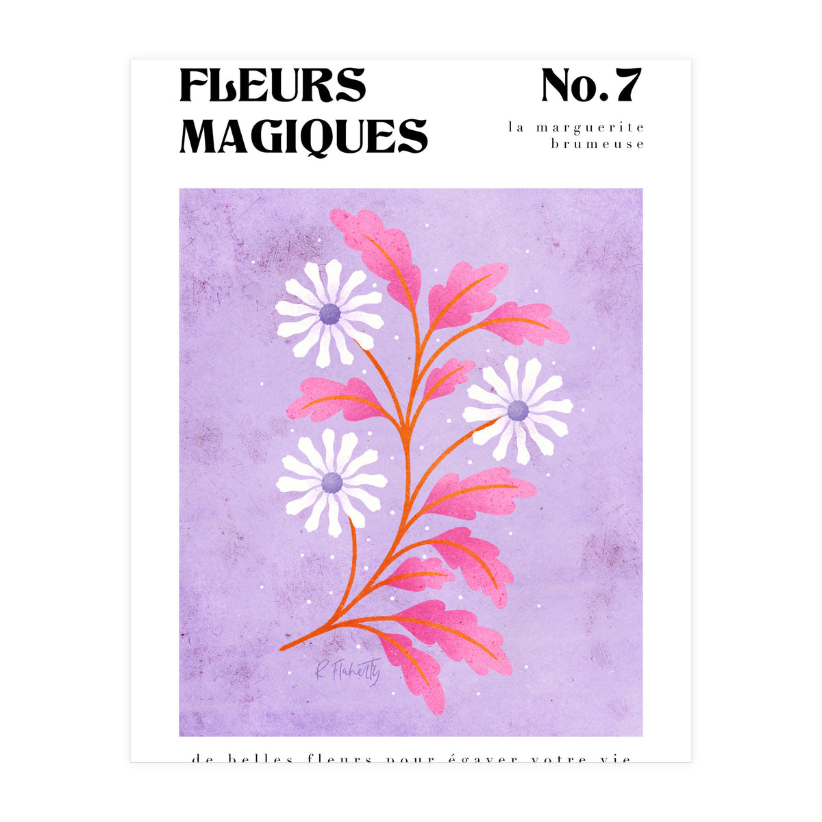 Magical Flowers No.7 Hazy Daisy (Print Only)