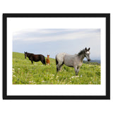 Equine Family thumbnail