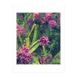 Aliyah (Print Only) thumbnail