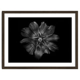 Backyard Flowers In Black And White 22 thumbnail