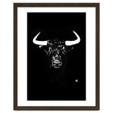 Toro thumbnail