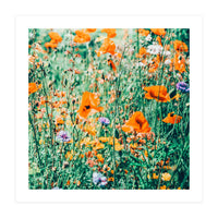Eva | Nature Floral Meadow Garden | Photography Botanical Spring Bohemian Flowers (Print Only)