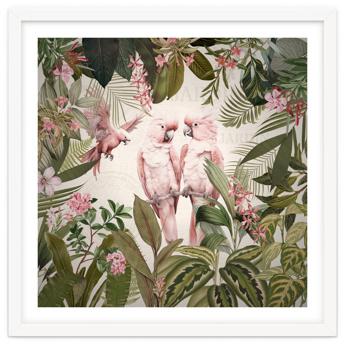 Pink Parrots Exotic Rainforest