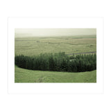 Small forest - Iceland (Print Only) thumbnail