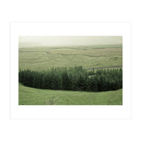 Small forest - Iceland (Print Only)