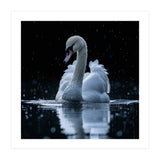 Majestic Swan Swimming In Dark Water (Print Only) thumbnail