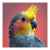 Cockatiel Parrot Head Close Up Portrait (Print Only) thumbnail