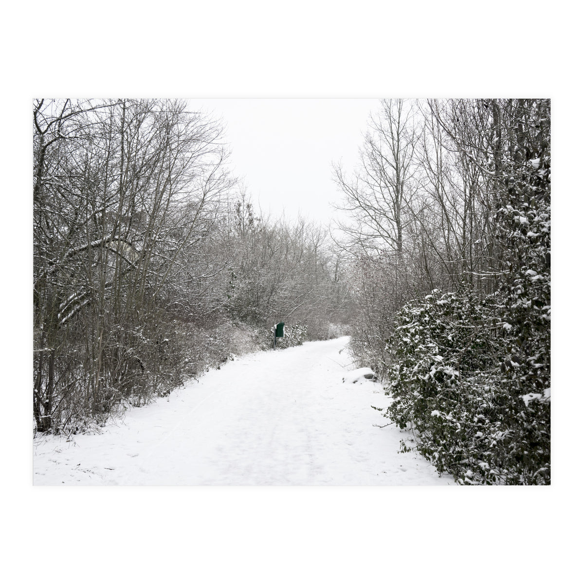 Walking through the snow park (Print Only)