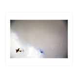The Little Prince (Print Only) thumbnail